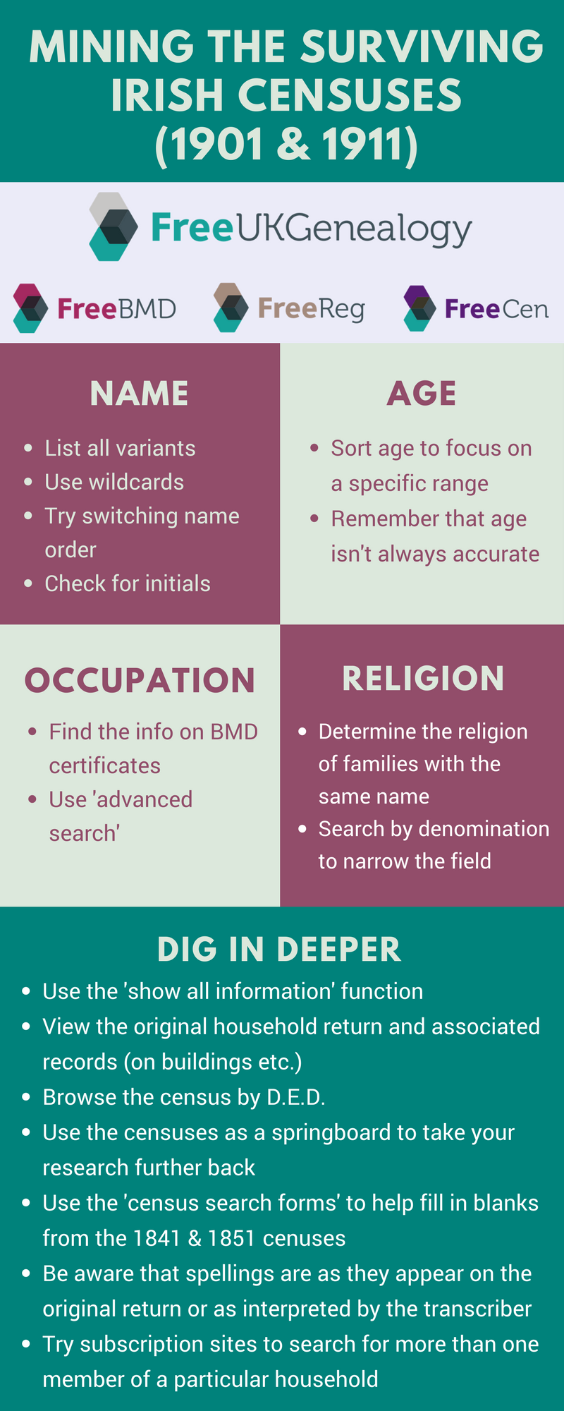 infographic giving advice from previous paragraphs on using Irish Censuses